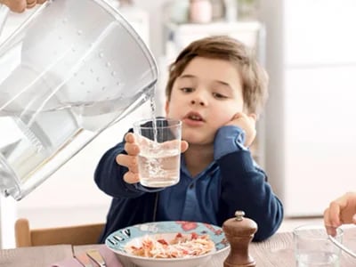 Brita or Pur Comparison: Which Filter Brand Stands Out More?